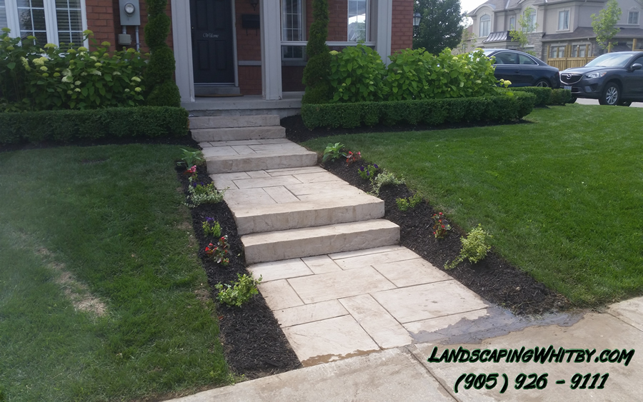 Hedge Pruning and Trimming